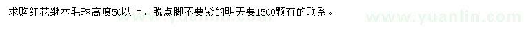 求購高50公分以上紅花繼木球