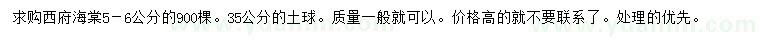 求購5-6公分海棠