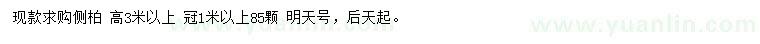 求購高3米以上側柏