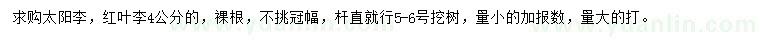 求購4公分太陽李、紅葉李