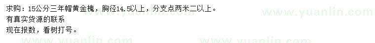 求購胸徑14.5以上15公分黃金槐