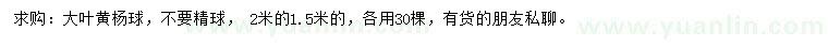 求購(gòu)1.5、2米大葉黃楊球