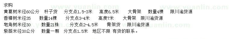 求購黃葛、香樟、皂角等