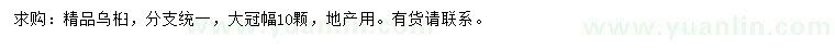 求購烏桕