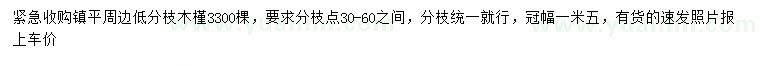 求購(gòu)冠幅1.5米木槿