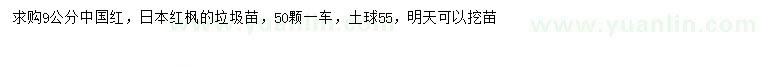 求購9公分中國紅、日本紅楓