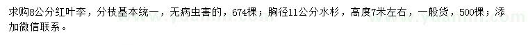 求購8公分紅葉李、胸徑11公分水杉