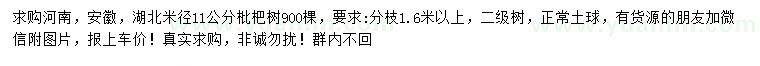 求購米徑11公分枇杷樹