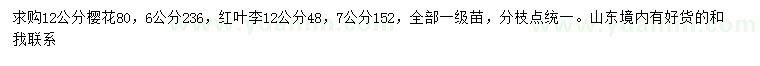 求購12公分櫻花、7、12公分紅葉李