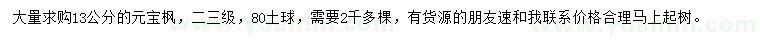 求購13公分元寶楓