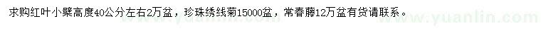 求購高40公分左右紅葉小檗