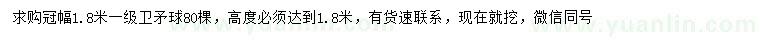求購冠幅1.8米衛(wèi)矛球