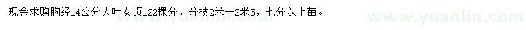 求購胸徑14公分大葉女貞