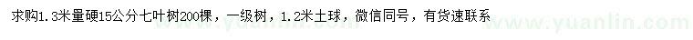 求購1.3米量15公分七葉樹