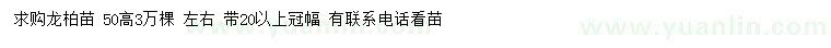 求購高50公分龍柏