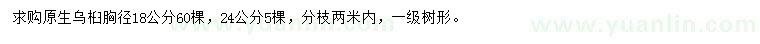 求購胸徑18、24公分烏桕