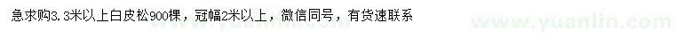 求購(gòu)3.3米以上白皮松