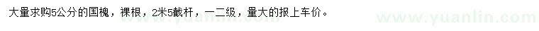 求購5公分國槐