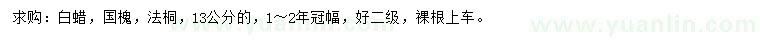 求購白蠟、國槐、法桐