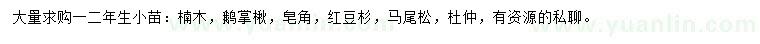 求購楠木、鵝掌楸、皂角等