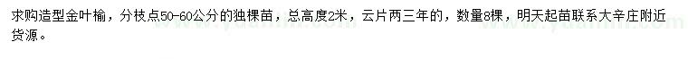 求購高2米造型金葉榆
