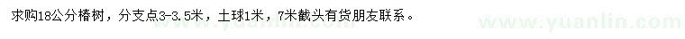 求購18公分椿樹