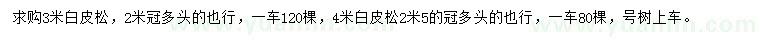 求購3米白皮松