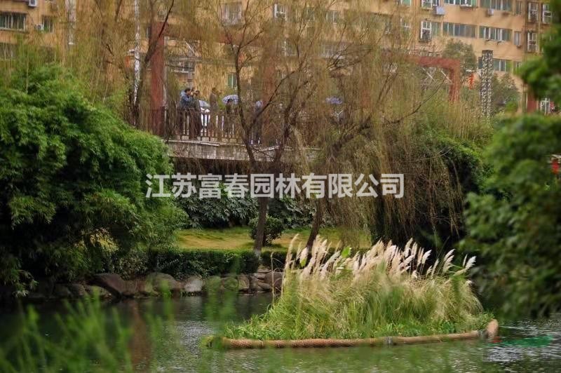 人工生態浮床_浮島水生植物_多少錢一平方
