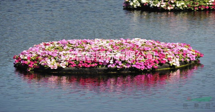 河面浮島_水生植物浮島安裝固定_綠化規(guī)劃公司