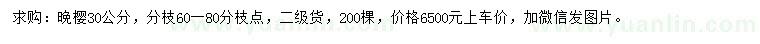 求購30公分晚櫻