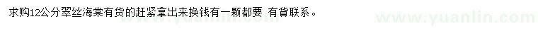 求購12公分翠絲海棠