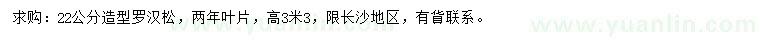 求購22公分造型羅漢松