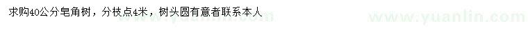 求購(gòu)40公分皂角樹(shù)