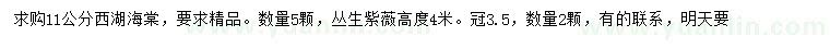 求購11公分西府海棠
