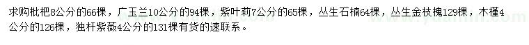 求購枇杷、廣玉蘭、紫葉莉等