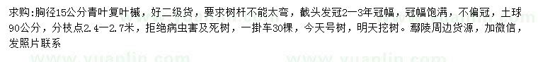 求購胸徑15公分青葉復葉槭