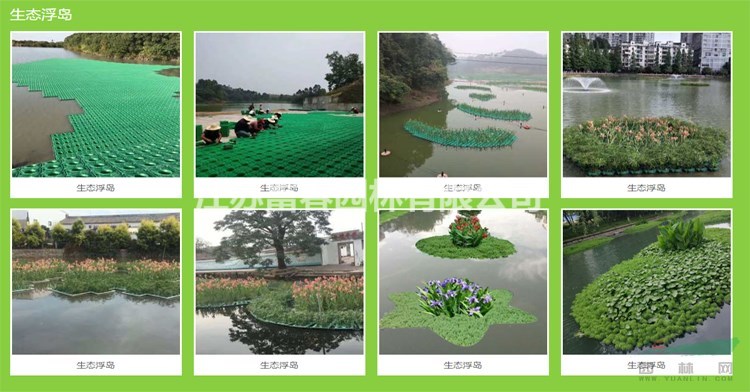 生態景觀浮島_沉水植物_水面綠化