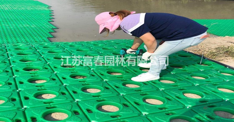 河道種植浮島_人工浮島技術_水面綠化種植公司