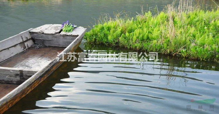 河道種植浮島_人工浮島技術_水面綠化種植公司