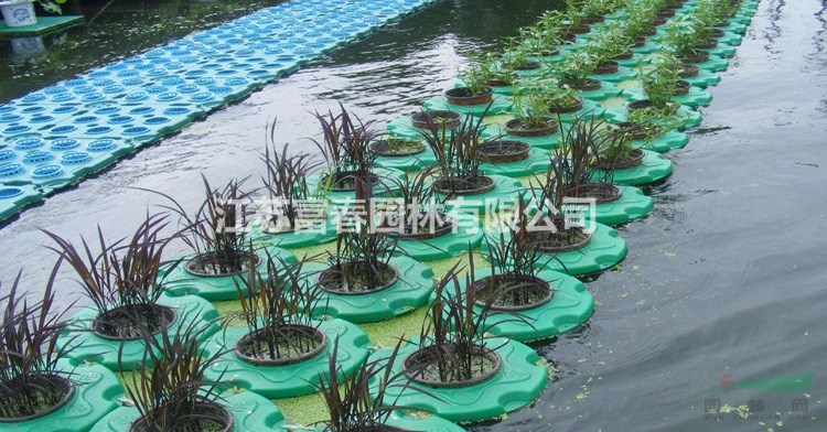 河道種植浮島_人工浮島技術_水面綠化種植公司