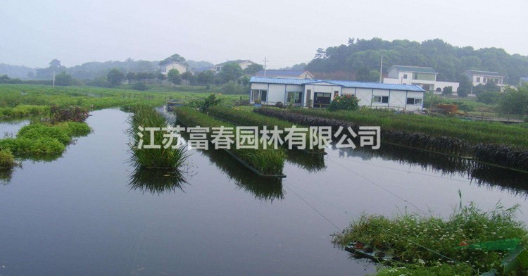 河面種植浮島_人工浮島生產(chǎn)廠家_河道邊綠化景觀設(shè)計