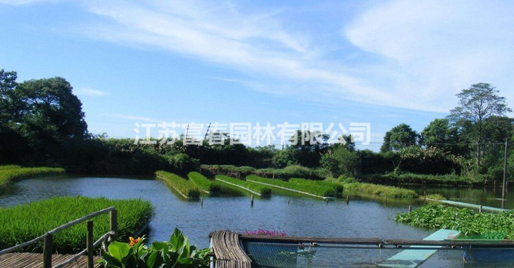 河面種植浮島_人工浮島生產(chǎn)廠家_河道邊綠化景觀設(shè)計