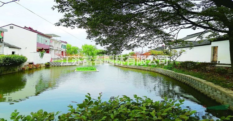 水生植物_哪里買人工生態(tài)浮島_廠家