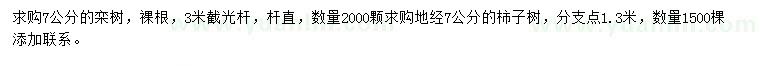 求購7公分欒樹、地徑7公分柿子樹