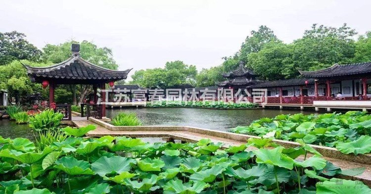 水面綠化_大型人工浮島_四季芹蔬菜水上種植
