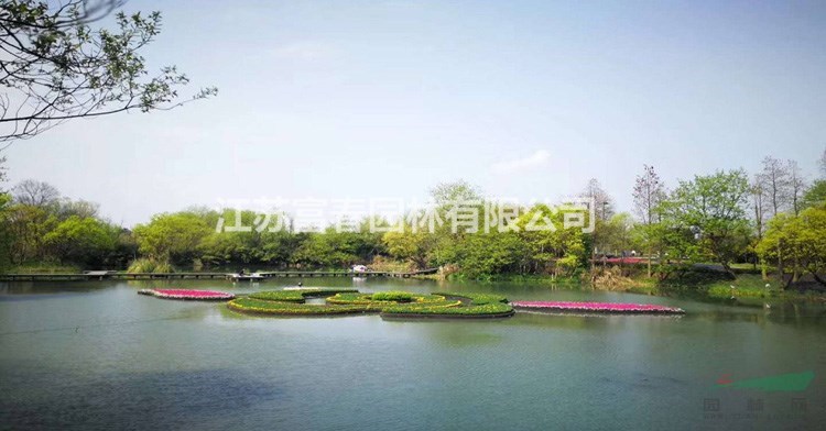 水面綠化_大型人工浮島_四季芹蔬菜水上種植