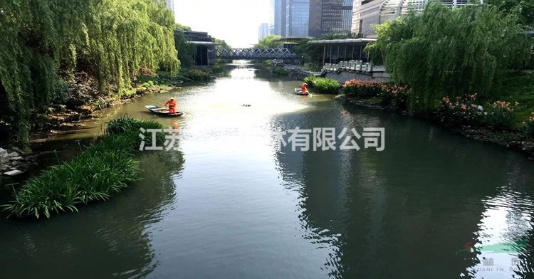 塑料浮島_購買人工浮島哪里便宜_綠化效果圖大全