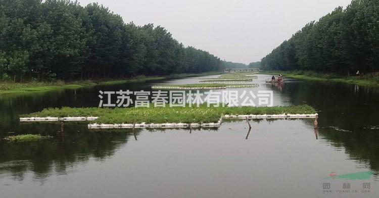 pe材質生態浮床_自然生態浮島_上門施工