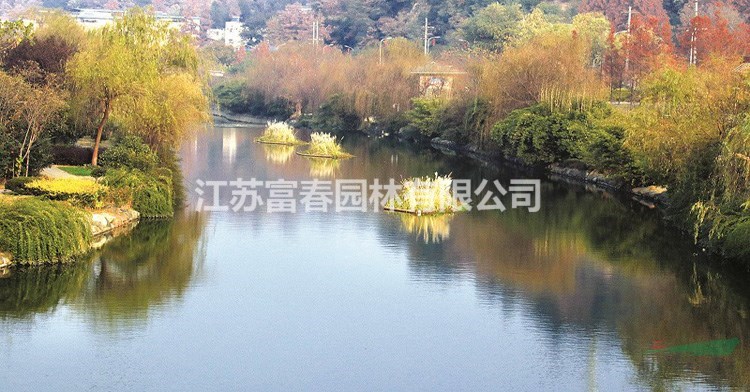 浮島_濕地浮島_綠化工程公司