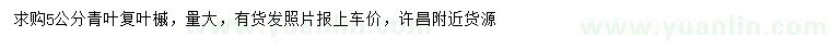 求購(gòu)5公分青葉復(fù)葉槭